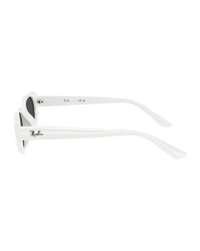 Ray-Ban RB4441D Rectangle Plastic Sunglasses