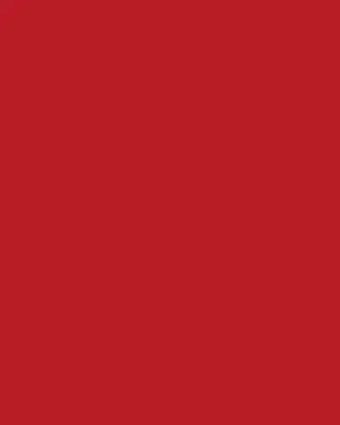 Bauble Stockings x Sainty Nelsen "Remembrance Cardinal" Mini Bauble Stocking | Thumbnail 2 Bauble Stockings x Sainty Nelsen "Remembrance Cardinal" Mini Bauble Stocking | Thumbnail 2