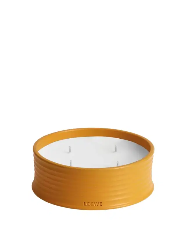 Outdoor Candle Ginger, 750 mg