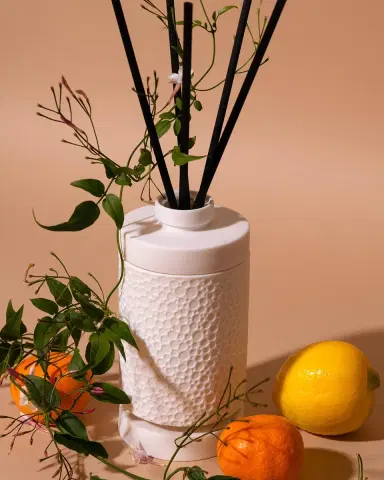 Van Dang Fragrances Solaire Diffuser, 9.3 oz. | Thumbnail 3