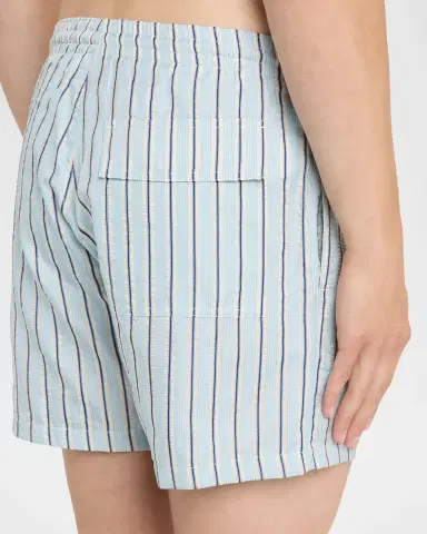 Loro Piana Men 's Daneu Stripe Swim Shorts | Thumbnail 4