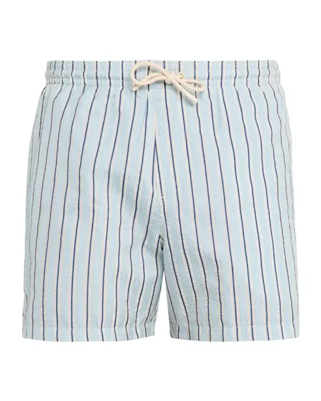 Men 's Daneu Stripe Swim Shorts