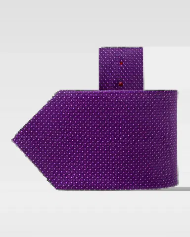 Stefano Ricci Men's Micro-Medallion Silk Tie | Thumbnail 2
