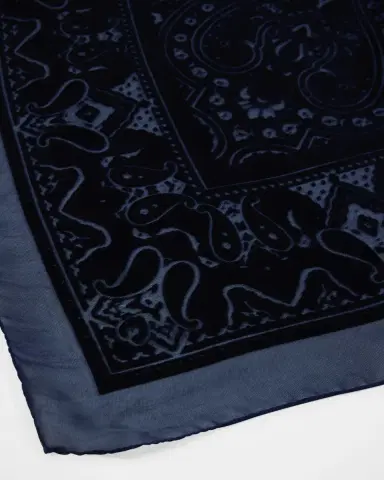 Etro Aida Flocked Paisley Shawl | Thumbnail 4