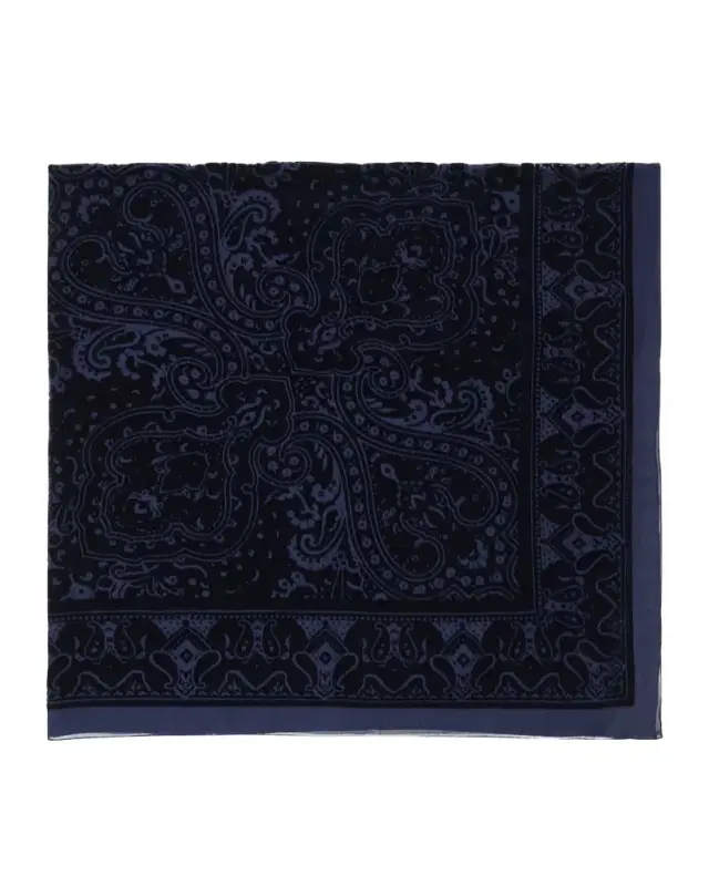Aida Flocked Paisley Shawl