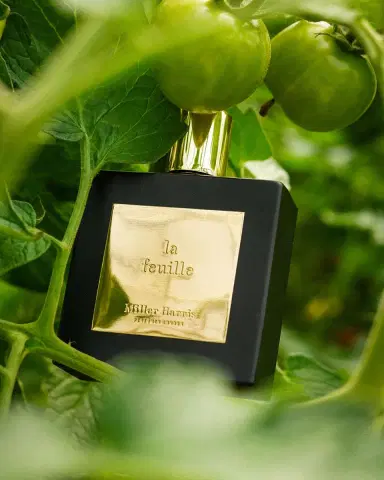 Miller Harris La Feuille Eau de Parfum, 3.4 oz. | Thumbnail 2 Miller Harris La Feuille Eau de Parfum, 3.4 oz. | Thumbnail 2