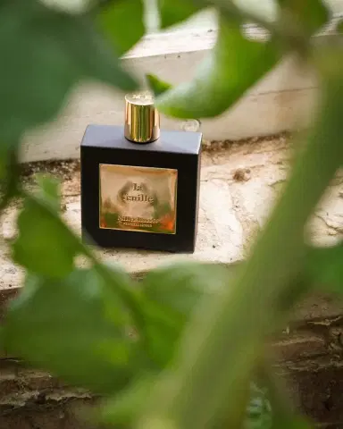 Miller Harris La Feuille Eau de Parfum, 3.4 oz. | Thumbnail 6 Miller Harris La Feuille Eau de Parfum, 3.4 oz. | Thumbnail 6