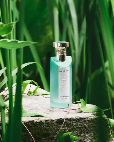 BVLGARI Eau Parfumée Thé Vert Eau de Toilette, 2.5 oz. | Thumbnail 4