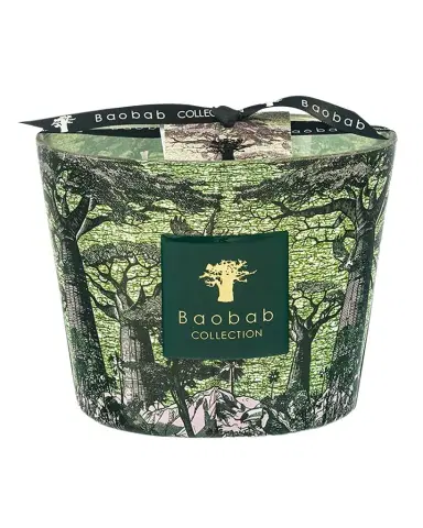 Baobab Collection Sacred Trees Touba 4-Wick Max 10 Candle, 1.3 kg | Thumbnail 1 Baobab Collection Sacred Trees Touba 4-Wick Max 10 Candle, 1.3 kg | Thumbnail 1