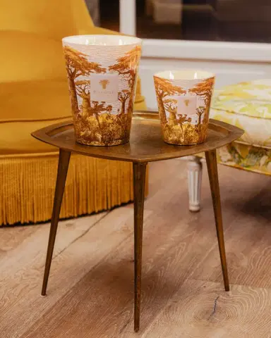 Baobab Collection Sacred Trees Bounkani 4-Wick Max 10 Candle, 1.3 kg | Thumbnail 3 Baobab Collection Sacred Trees Bounkani 4-Wick Max 10 Candle, 1.3 kg | Thumbnail 3