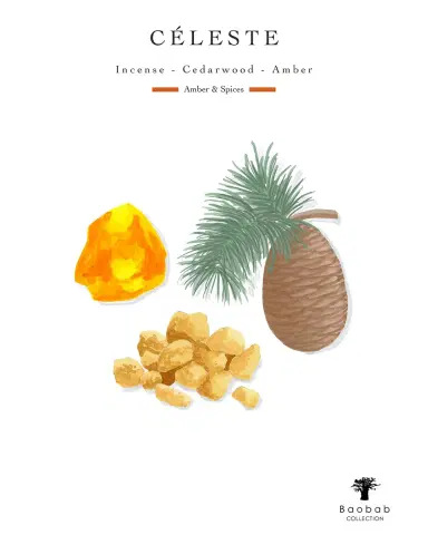 Baobab Collection Celeste 4-Wick Max 10 Candle, 1.3 kg | Thumbnail 4