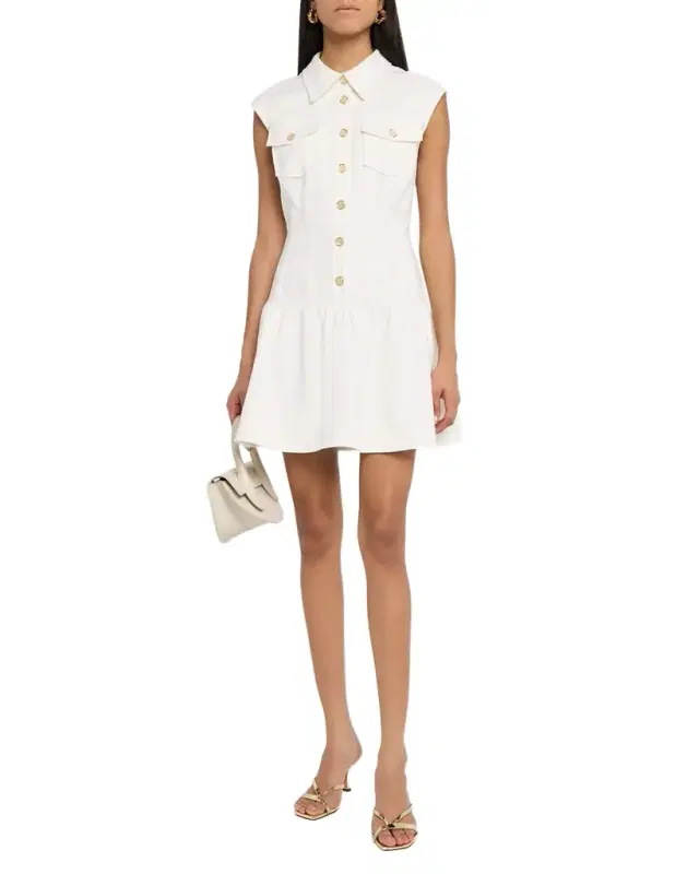 Sofi Drop-Waist Mini Dress