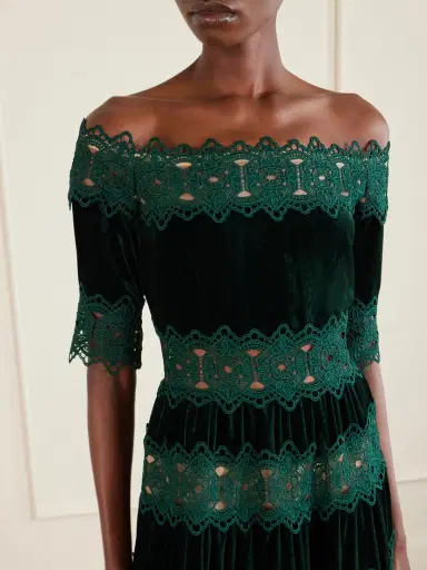 Costarellos Off-the-shoulder Striped Lace And Velvet Gown | Thumbnail 4