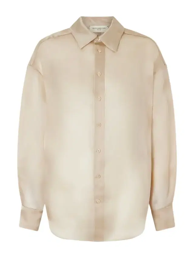 Dani Silk-organza Shirt