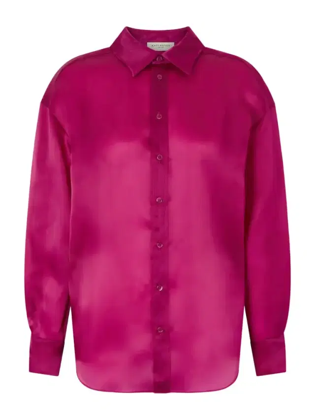 Dani Silk-organza Shirt