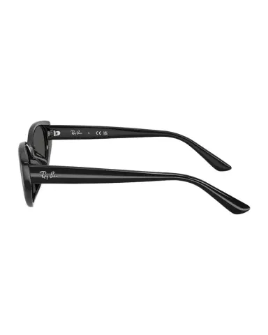 Ray-Ban RB4457D Plastic Pillow Sunglasses | Thumbnail 1 Ray-Ban RB4457D Plastic Pillow Sunglasses | Thumbnail 1