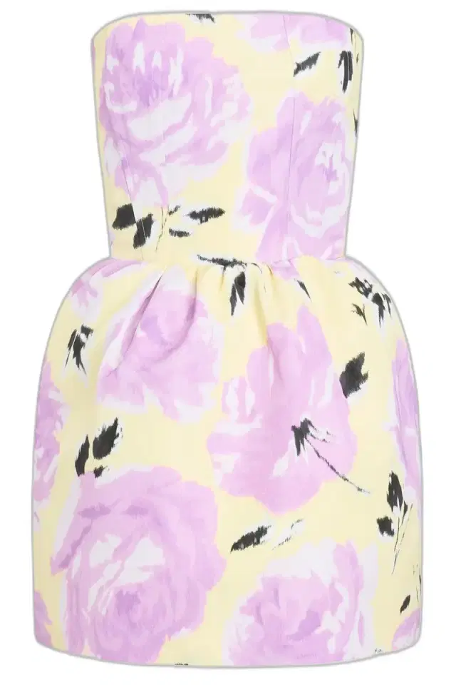 Bustier Mini Dress