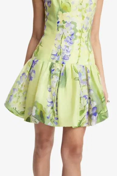 LEO LIN Lorena Mini Dress | Thumbnail 5