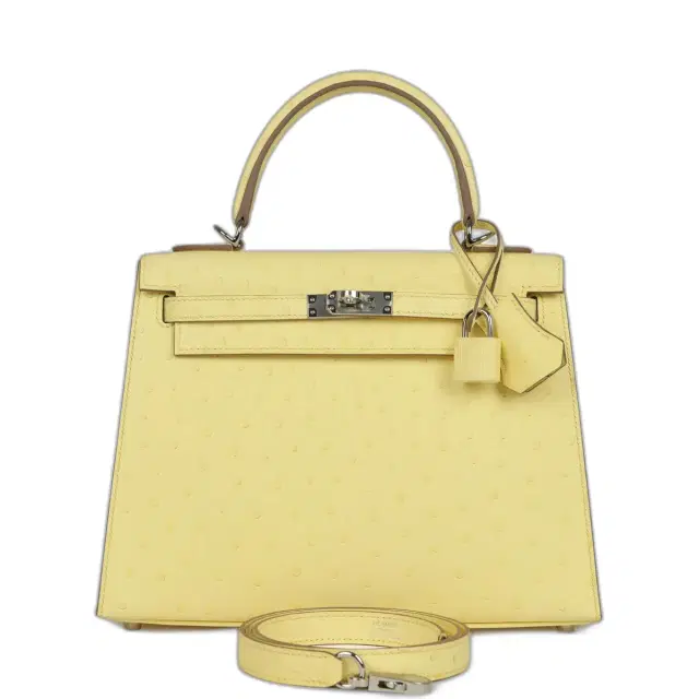 Hermes Kelly Sellier 25 Limoncello Ostrich Palladium Hardware