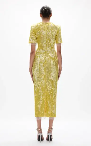 Rachel Gilbert Kaia Squined Tulle Maxi Dress | Thumbnail 6