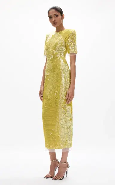Rachel Gilbert Kaia Squined Tulle Maxi Dress | Thumbnail 8