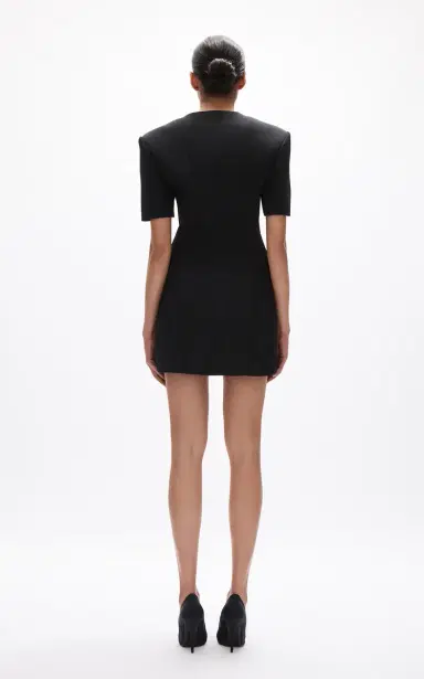 Rachel Gilbert Sergio Button-Up Mini Dress | Thumbnail 8
