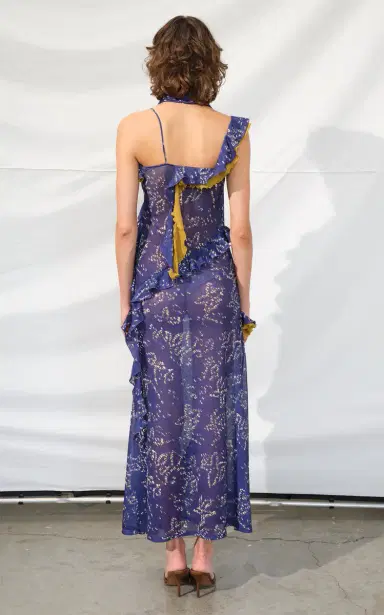 SIEDRÉS Monica Ruffled Chiffon Maxi Dress | Thumbnail 3