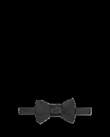 Charvet Silk Bow Tie | Thumbnail 2