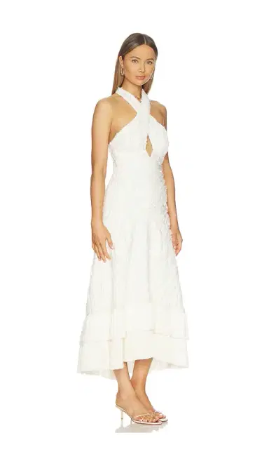 Alexis Ambrosio Dress | Thumbnail 2