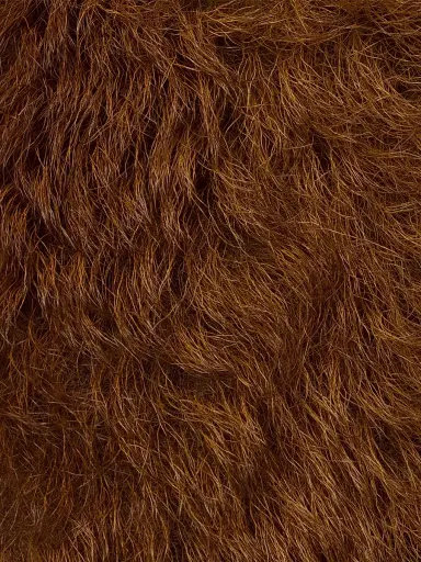 Prada Women's Shearling Collar - Brown | Thumbnail 3 Prada Women's Shearling Collar - Brown | Thumbnail 3