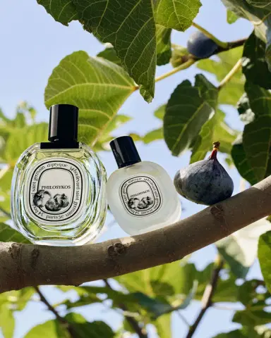 Diptyque Philosykos Hair Mist, 1 oz. | Thumbnail 3 Diptyque Philosykos Hair Mist, 1 oz. | Thumbnail 3
