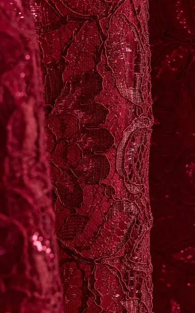 Rodarte Exclusive Strapless Lace Top | Thumbnail 5 Rodarte Exclusive Strapless Lace Top | Thumbnail 5