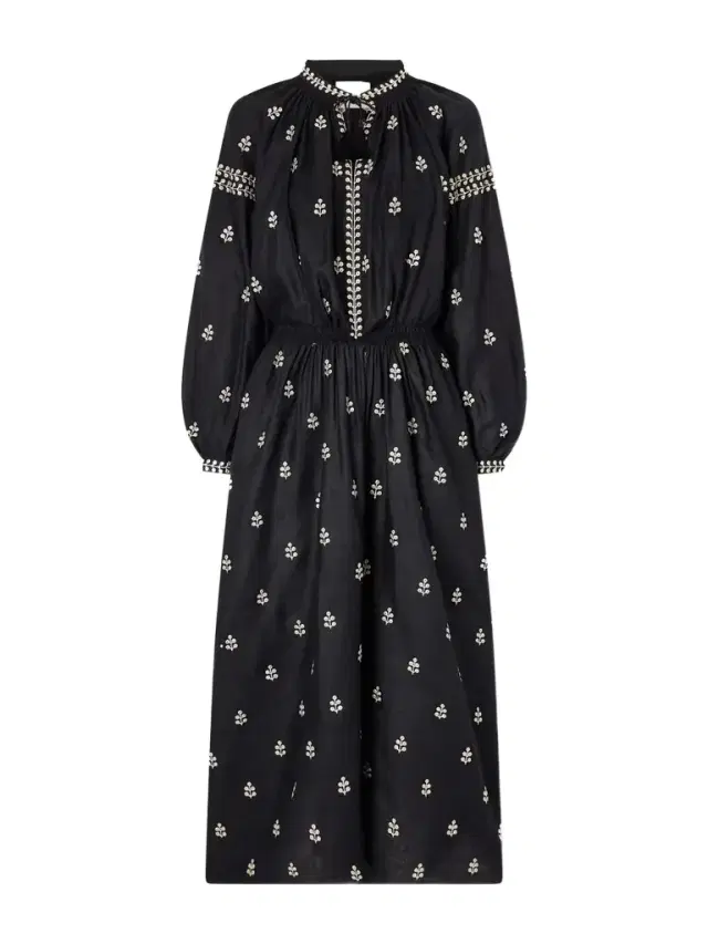Rodilia Tasseled Gathered Embroidered Silk Midi Dress