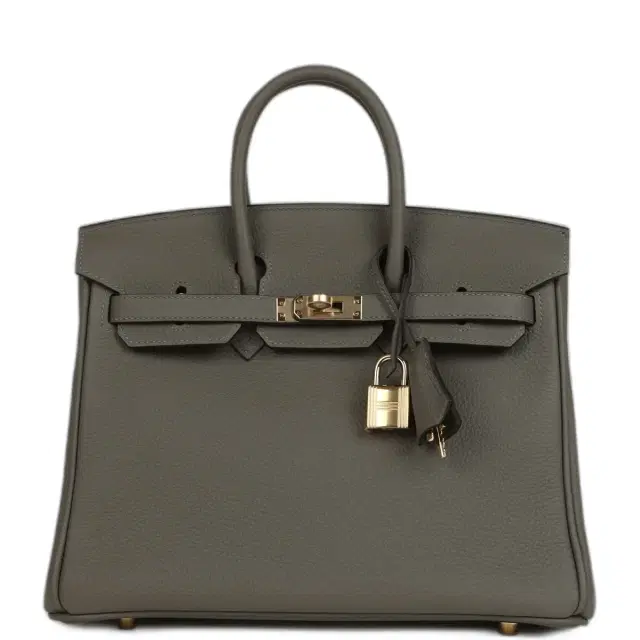 hermes Hermes Birkin 25 Gris Meyer Togo Permabrass Hardware