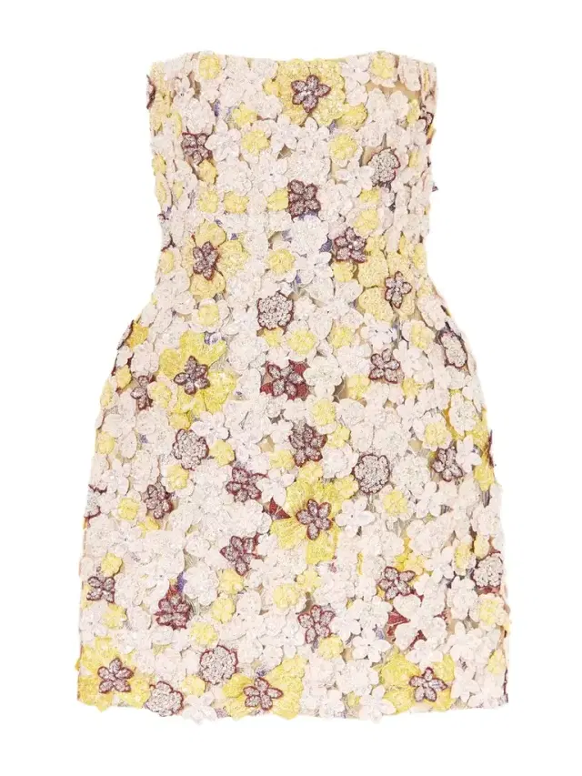 Sierra Appliquéd Embroidered Tulle Mini Dress