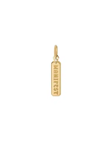 Jennifer Fisher Large Manifest Dog Tag in 18K Yellow Gold | Thumbnail 1