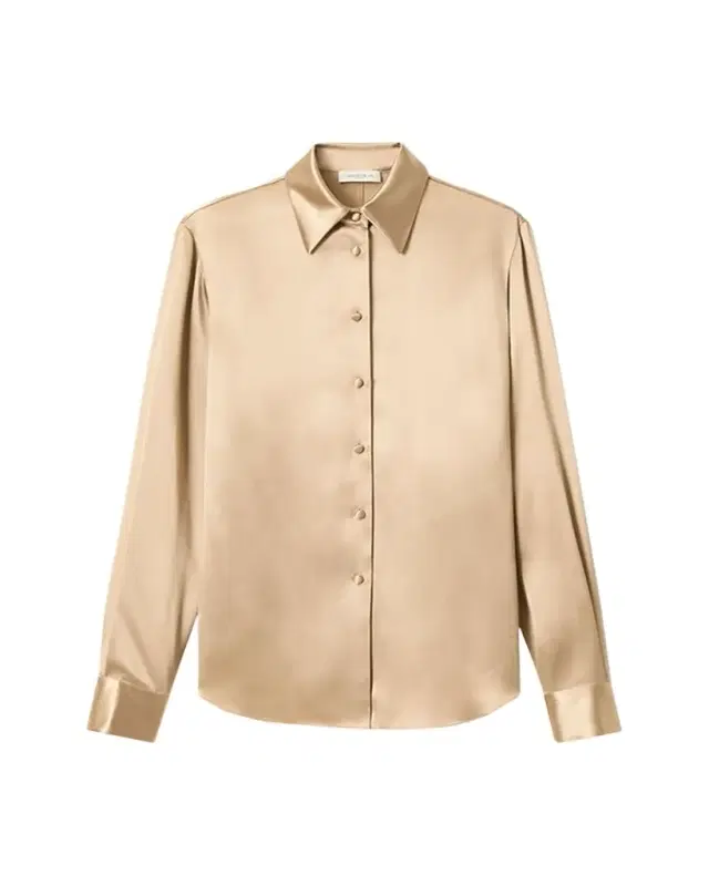 Cinched Button-Down Shiny Viscose Blouse