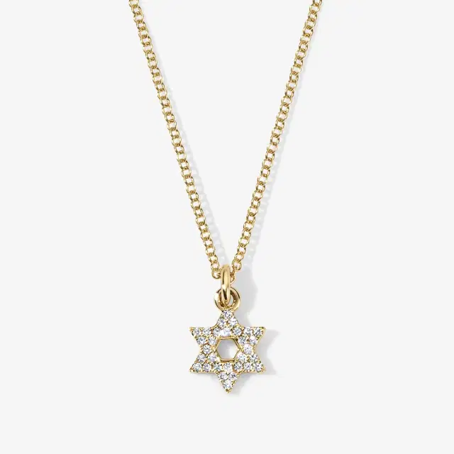 Stephanie Gottlieb Mini Token Pave Star of David Necklace