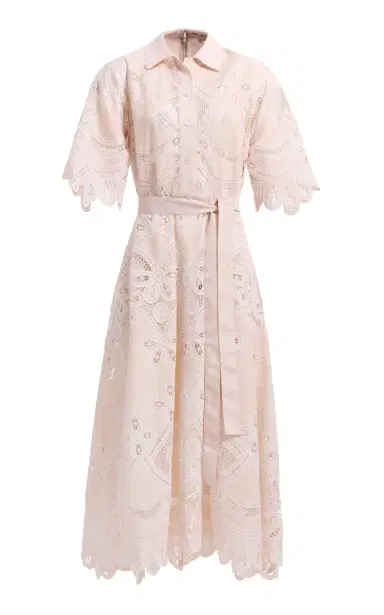 Elie Saab Embroidered Cotton Midi Dress | Thumbnail 1