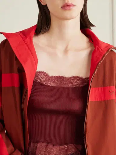 Saint Laurent Cropped Leavers Lace-trimmed Ribbed Silk-jersey Top | Thumbnail 5 Saint Laurent Cropped Leavers Lace-trimmed Ribbed Silk-jersey Top | Thumbnail 5