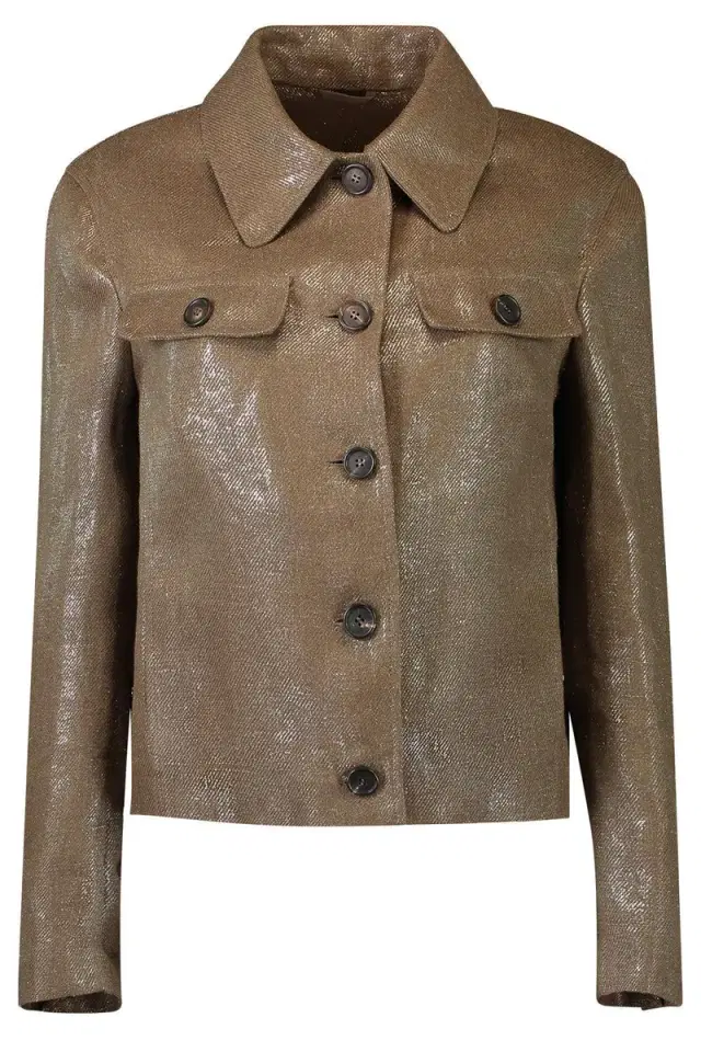 Brunello Cucinelli Shiny Button Front Jacket - Brown Silver