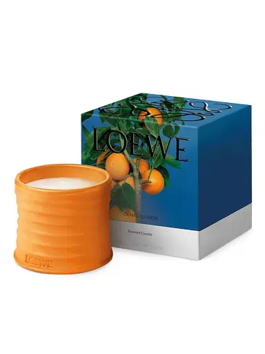LOEWE PERFUMES Orange Blossom Scented Candle | Thumbnail 2 LOEWE PERFUMES Orange Blossom Scented Candle | Thumbnail 2