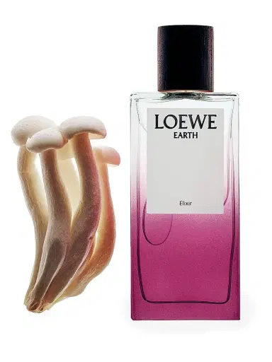 LOEWE PERFUMES Earth Elixir Eau De Parfum - Size 1.7 oz | Thumbnail 3