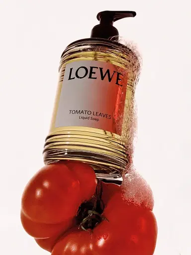 LOEWE PERFUMES Tomato Leaves Liquid Soap | Thumbnail 4 LOEWE PERFUMES Tomato Leaves Liquid Soap | Thumbnail 4