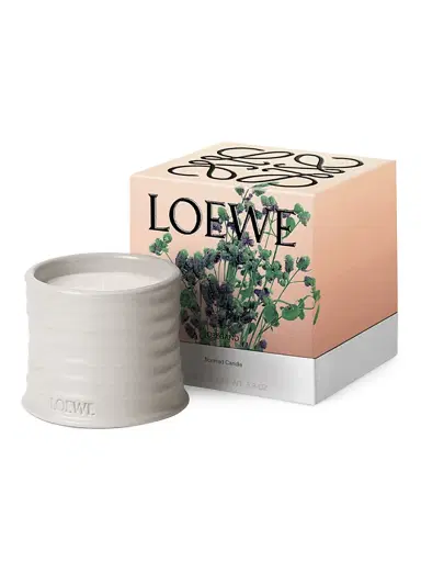 LOEWE PERFUMES Oregano Scented Candle - Size Large | Thumbnail 1 LOEWE PERFUMES Oregano Scented Candle - Size Large | Thumbnail 1