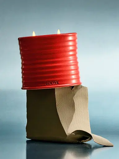 LOEWE PERFUMES Tomato Leaves Scented Candle - Size Large | Thumbnail 8 LOEWE PERFUMES Tomato Leaves Scented Candle - Size Large | Thumbnail 8