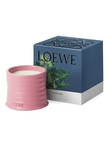 LOEWE PERFUMES Ivy Scented Candle - Size Large | Thumbnail 2 LOEWE PERFUMES Ivy Scented Candle - Size Large | Thumbnail 2