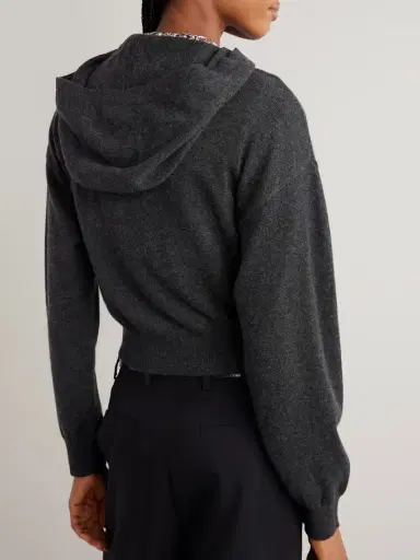 Lisa Yang Ilie Cashmere Hoodie | Thumbnail 3