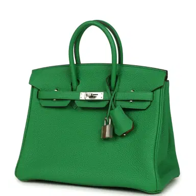 HERMÈS Hermes Birkin 25 Bambou Verso Togo Palladium Hardware | Thumbnail 5 HERMÈS Hermes Birkin 25 Bambou Verso Togo Palladium Hardware | Thumbnail 5