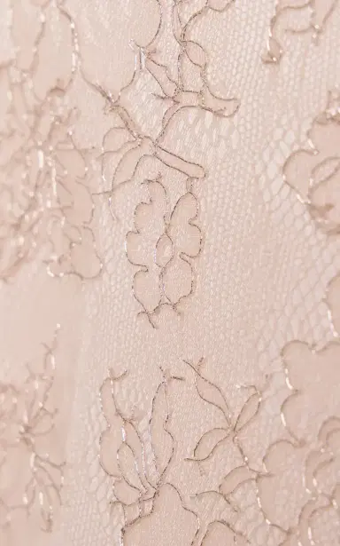 ALEJANDRA ALONSO ROJAS Exclusive Lace Overlay Gown | Thumbnail 5 ALEJANDRA ALONSO ROJAS Exclusive Lace Overlay Gown | Thumbnail 5